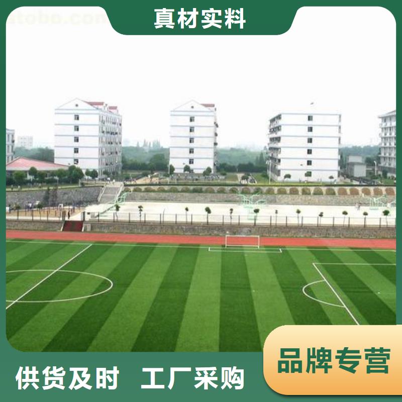 塑胶跑道塑胶跑道厂家按需定制