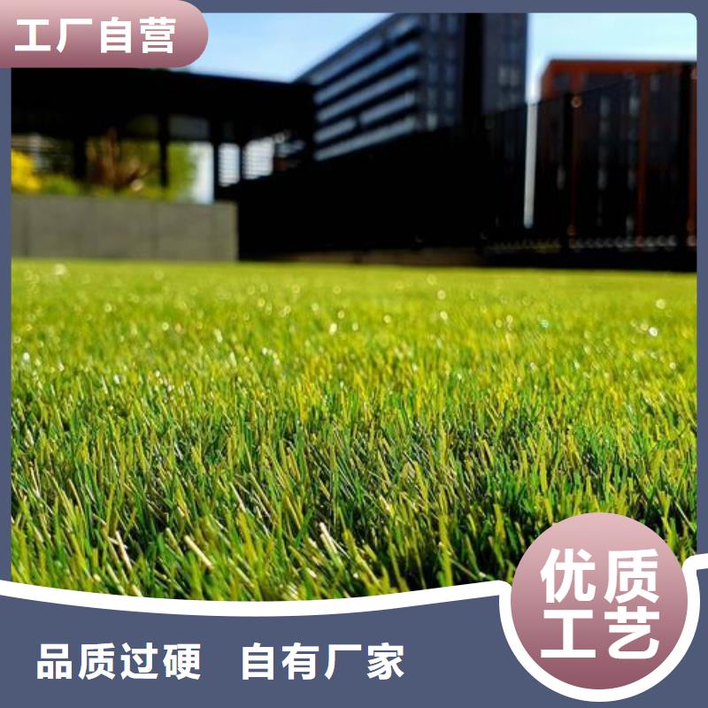 友建人造草坪【塑胶跑道】-硅PU球场厂家直销货源充足28354.com