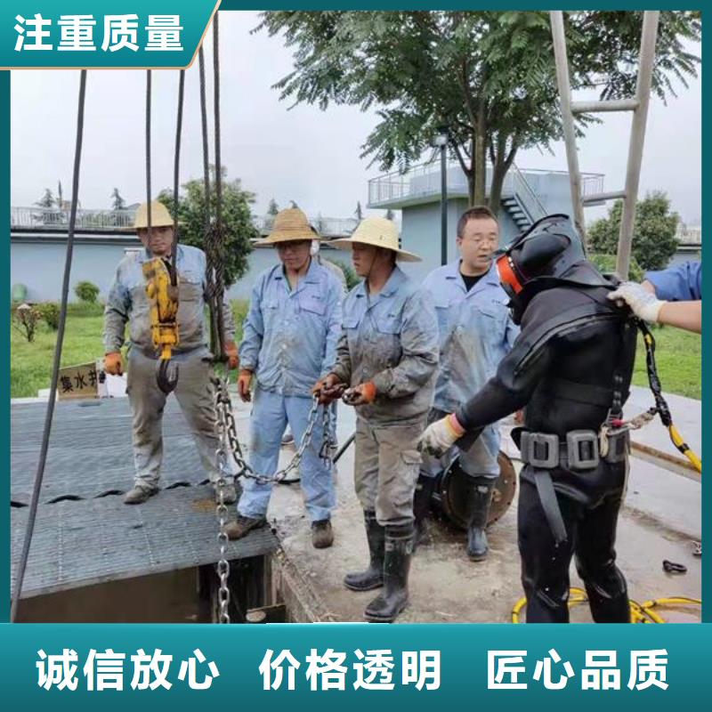 蛙人服务公司-本地潜水队伍