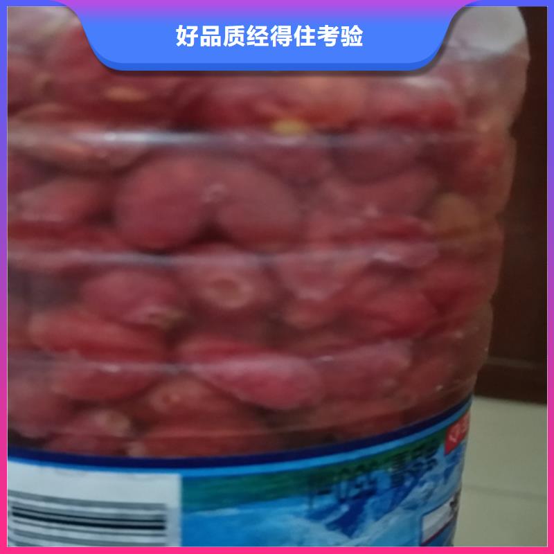 杈杷果樱桃苗实拍展现
