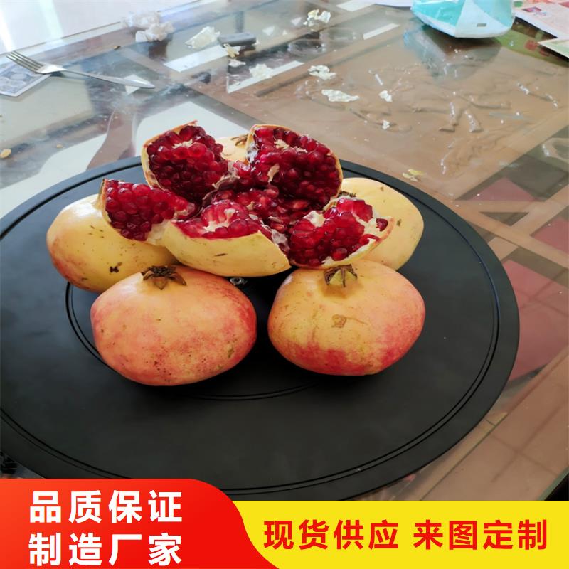 石榴李树苗可定制有保障