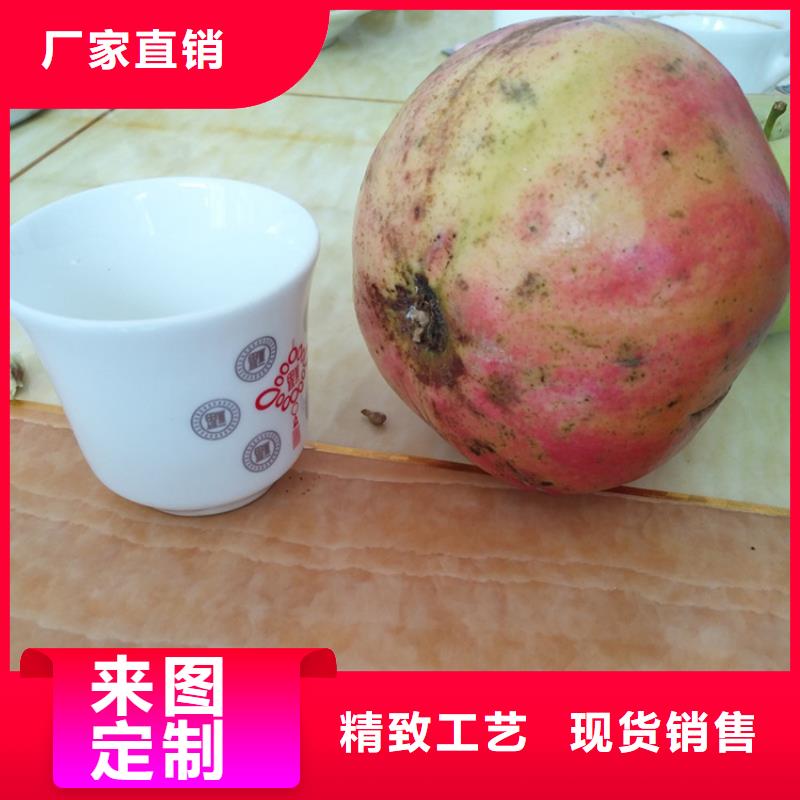 石榴樱桃苗实拍品质保障