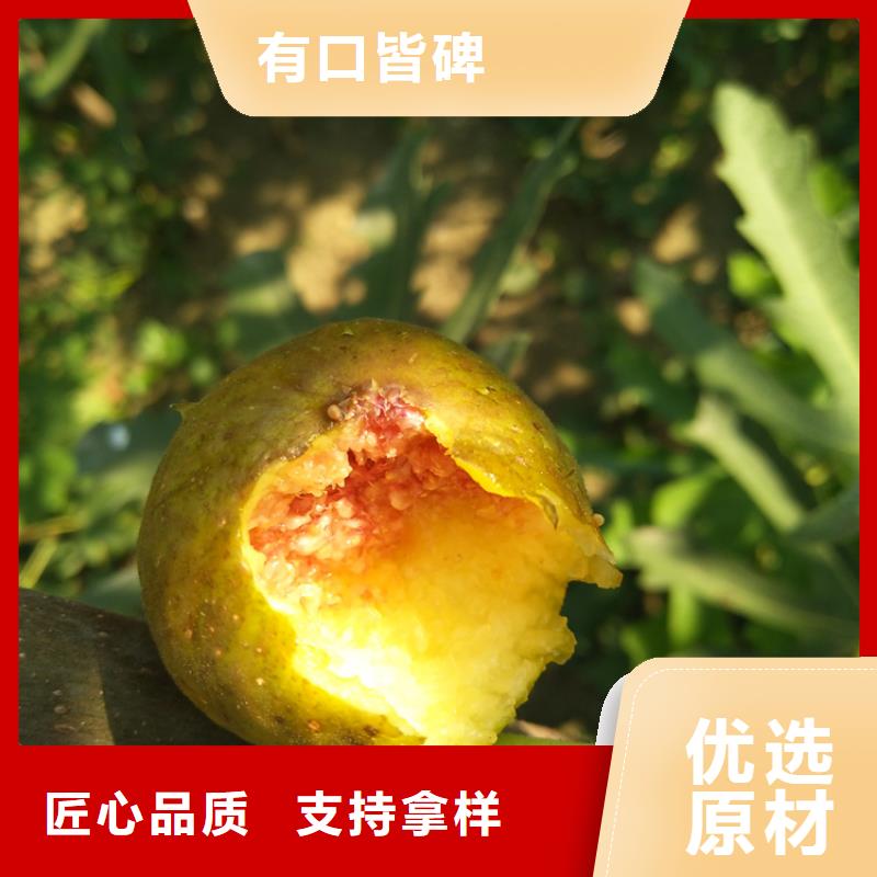 无花果【桃树苗】优选原材_轩园园艺场(十堰市分公司)