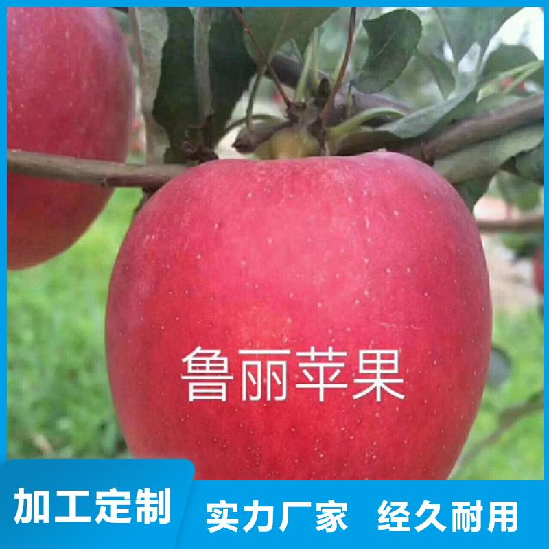 苹果,嘎啦苹果诚信商家服务热情