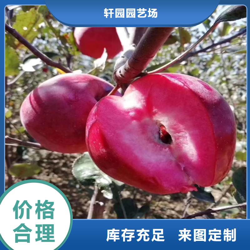 苹果,嘎啦苹果诚信商家服务热情