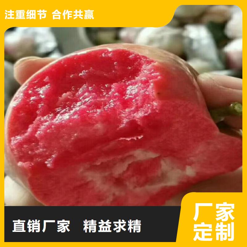 【苹果】桃树苗质检严格|赤峰|鄂尔多斯|阿拉善|兴安|锡林郭勒28354.com