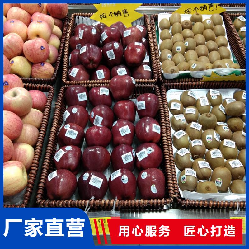 苹果苹果苗精工细致打造