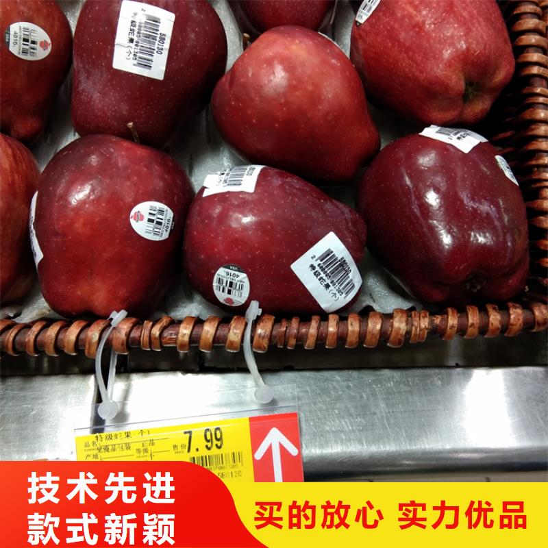苹果【蓝莓苗】种类丰富