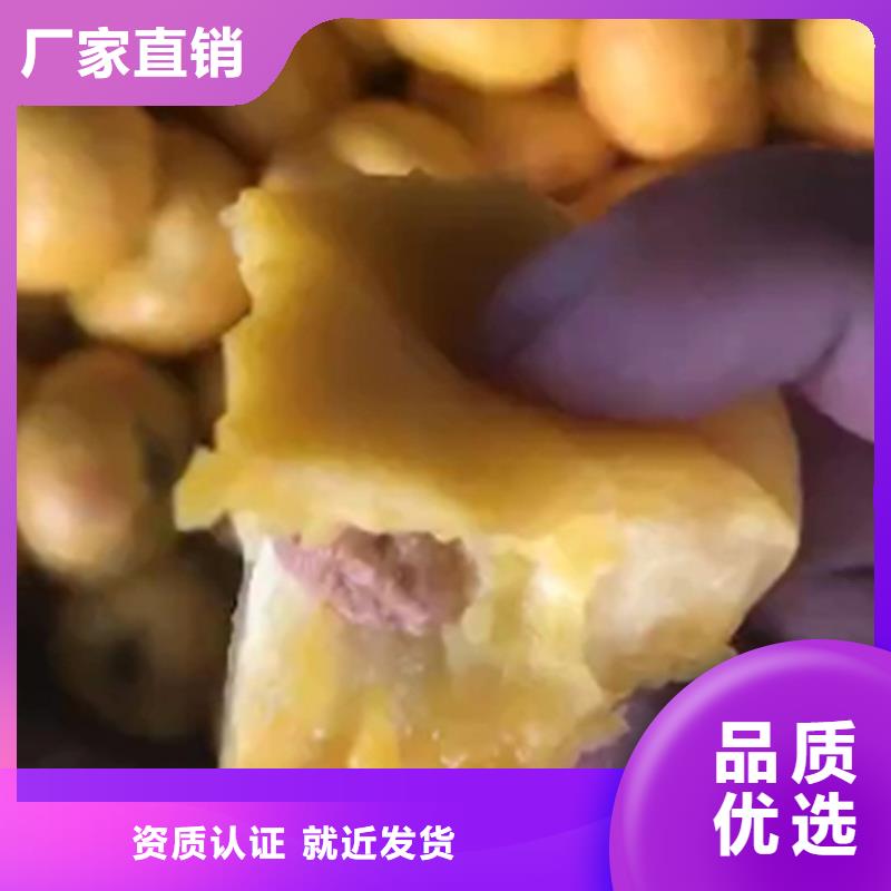 桃苹果苗产地工厂