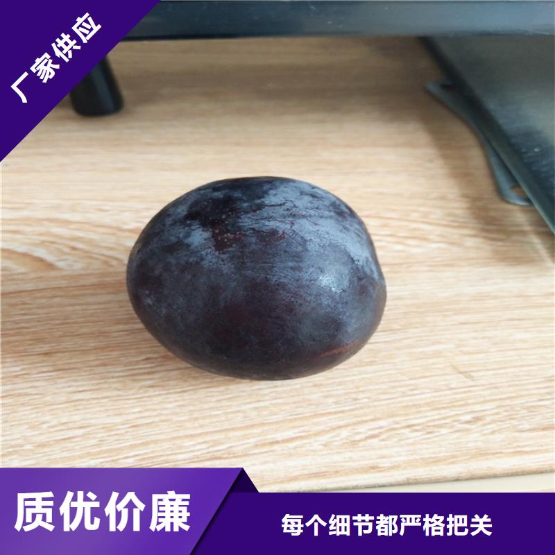 李子,西瓜苗专注品质