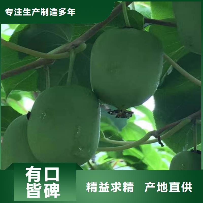 |漳平|武平|泉州|漳州|宁德|三明|莆田|福州|南平轩园【 猕猴桃-樱桃苗让利客户】