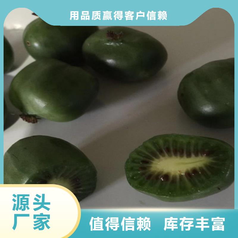 猕猴桃【猕猴桃苗】拥有多家成功案例