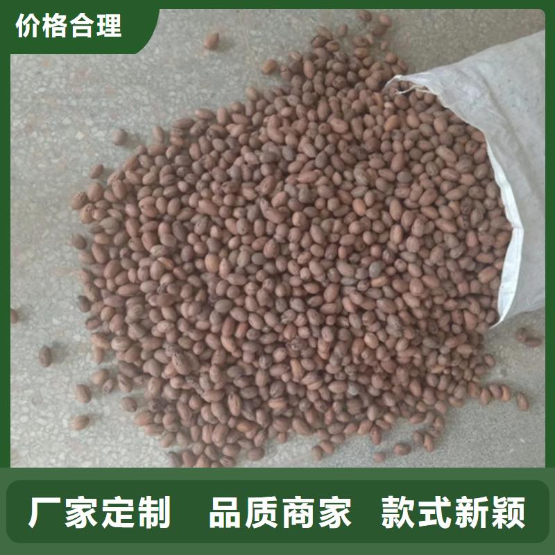 【碧根果】梨树苗诚信商家-轩园园艺场(咸阳市分公司)