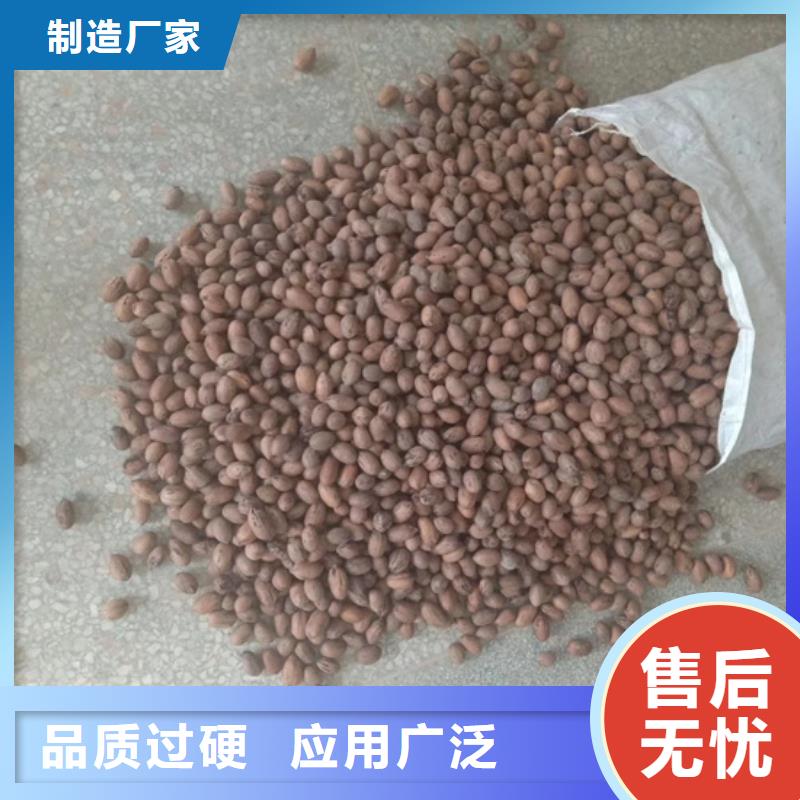 (轩园)有实力有经验 碧根果 【红颜草莓】保障产品质量-用品质说话