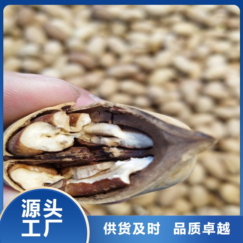 碧根果-樱桃苗好产品好服务