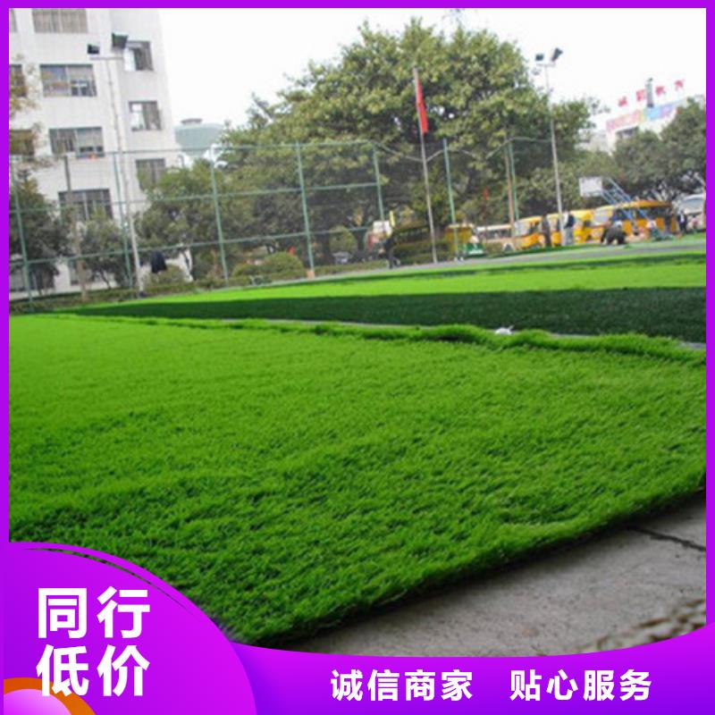人造草坪PVC室内地坪工艺精细质保长久
