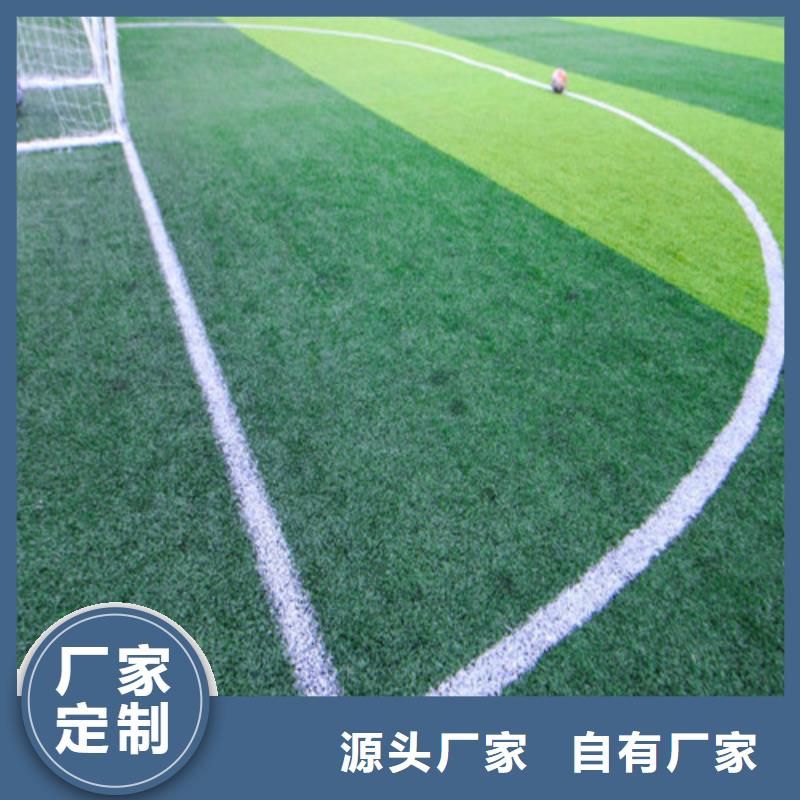 【 人造草坪 塑胶球场真正让利给买家】