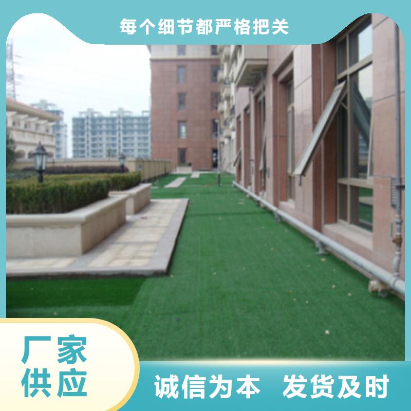 人造草坪 塑胶跑道定制速度快工期短