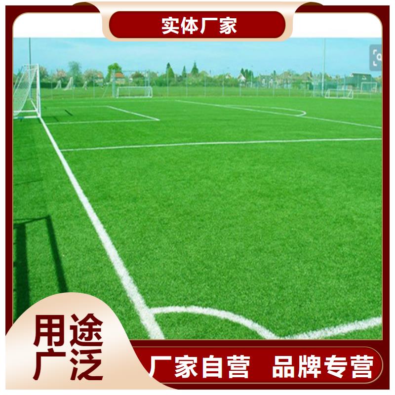  人造草坪放心选购