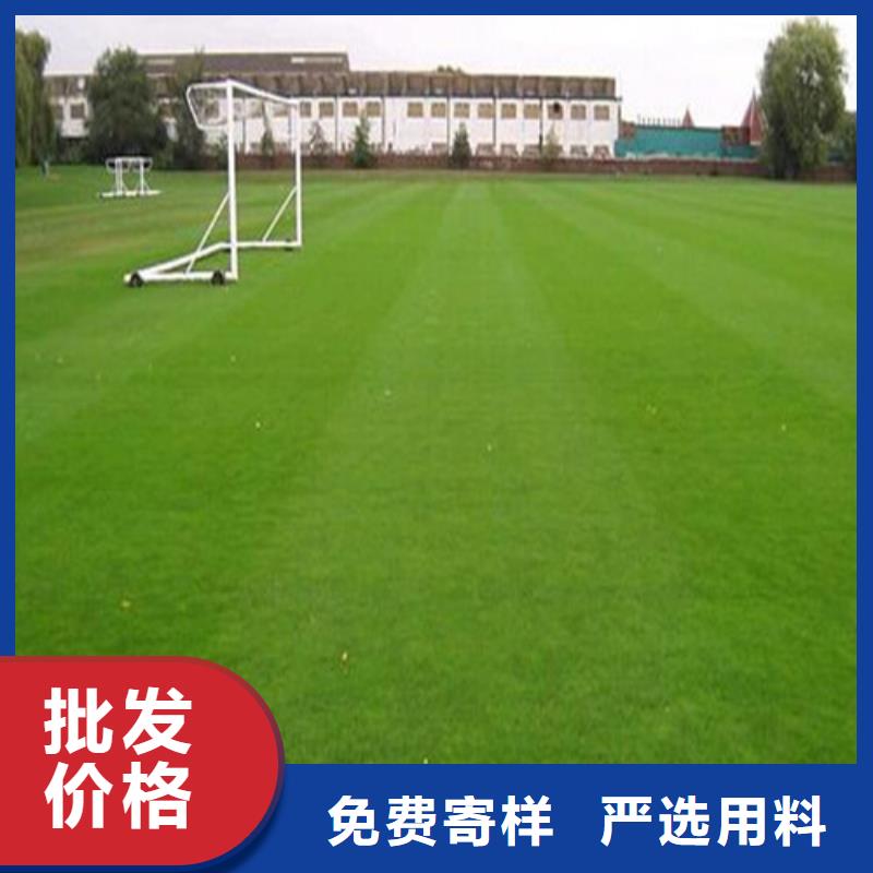 人造草坪塑胶跑道源厂供货