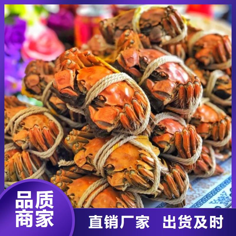 偃师|栾川|开封|焦作|郑州|安阳|商丘|鹤壁|平顶山大闸蟹_【阳澄湖大闸蟹订购】量大更优惠公司