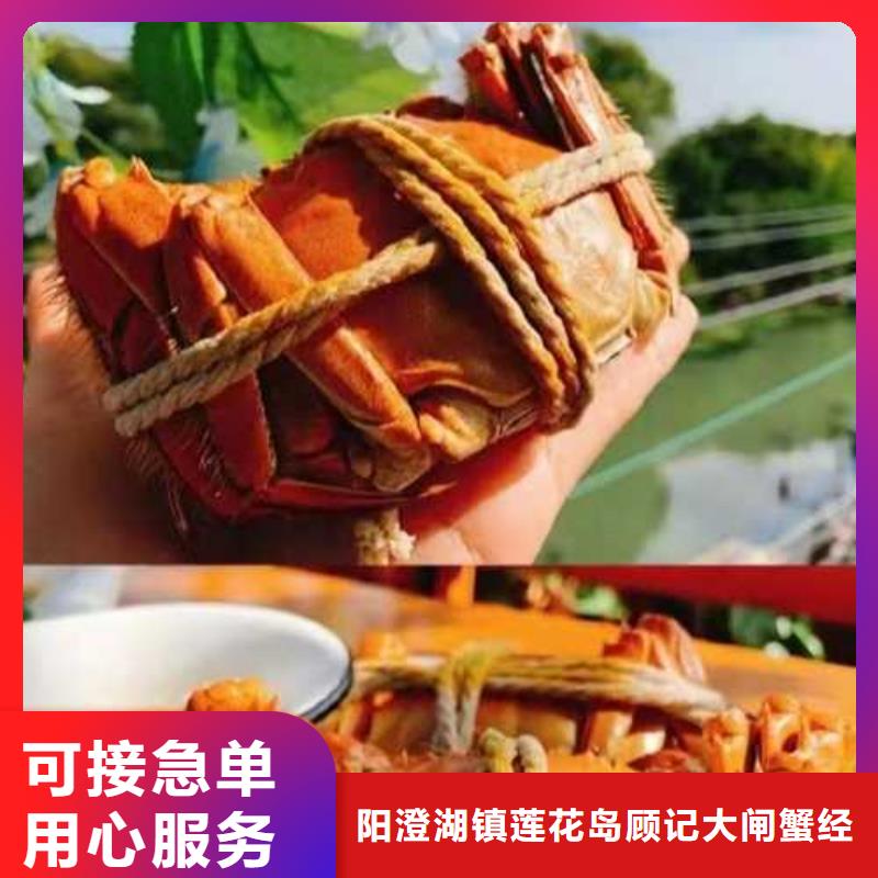 【真诚合作大闸蟹-阳澄湖大闸蟹团购价格有优势】顾记阳澄湖大闸蟹