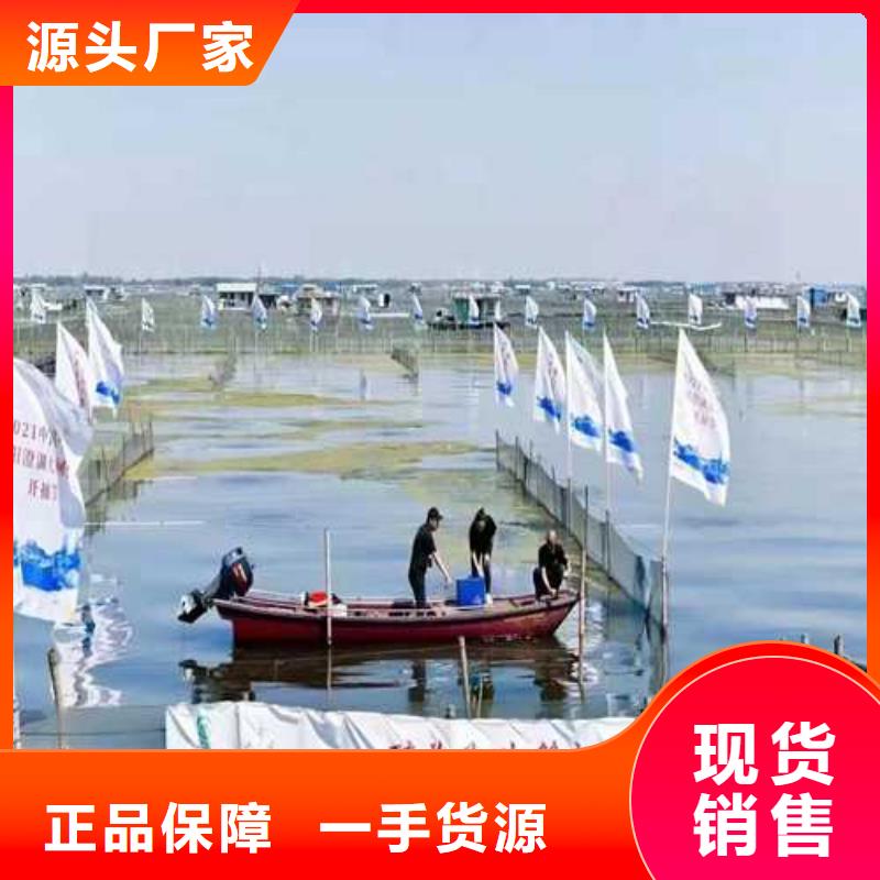 【真诚合作大闸蟹-阳澄湖大闸蟹团购价格有优势】顾记阳澄湖大闸蟹