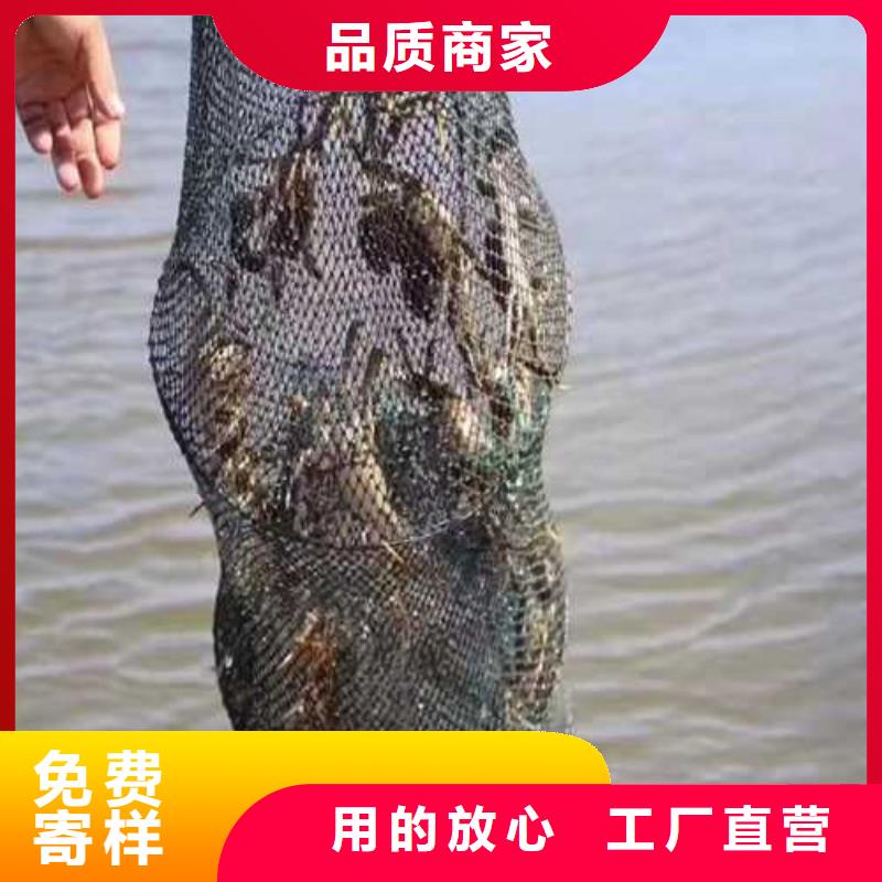去阳澄湖大闸蟹哪家正宗在苏州阳澄湖
