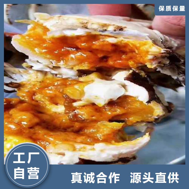 【大闸蟹_阳澄湖大闸蟹重信誉厂家】顾记阳澄湖大闸蟹