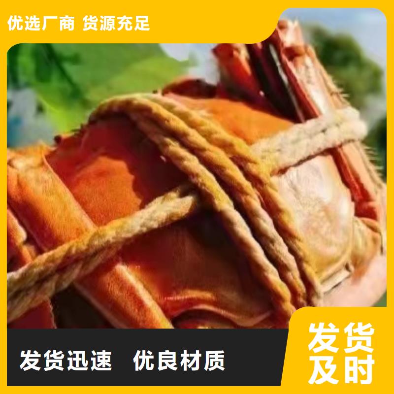 大闸蟹大品牌有保证