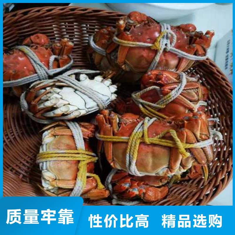 螃蟹_您的要求是我们的追求