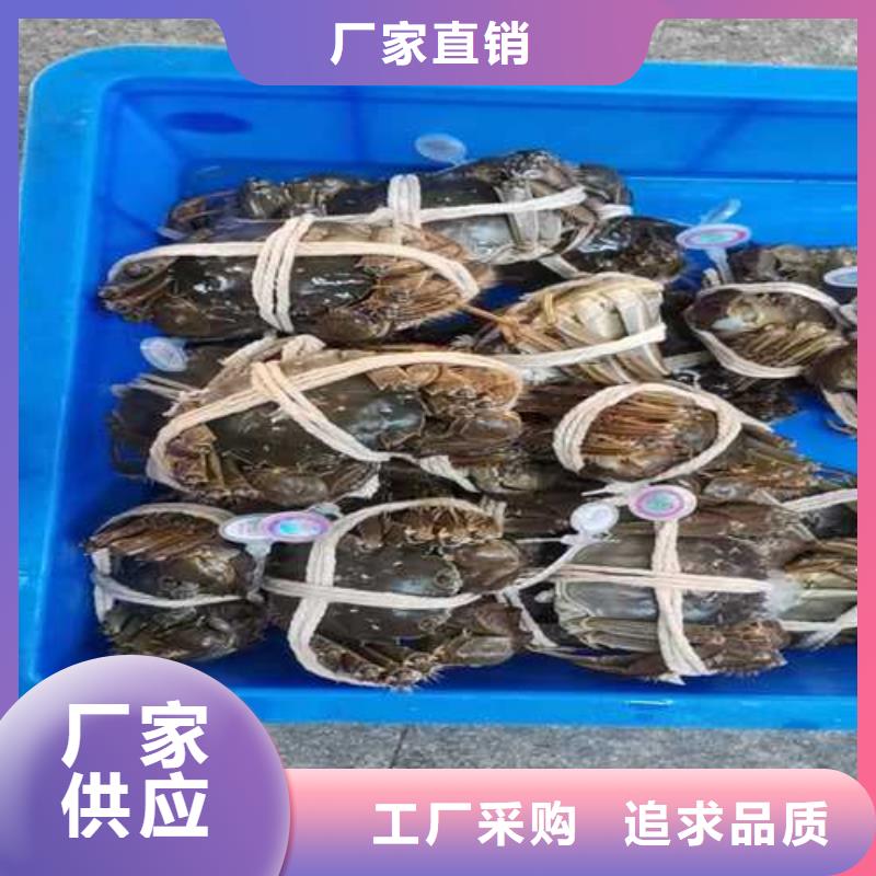 大闸蟹参数详情