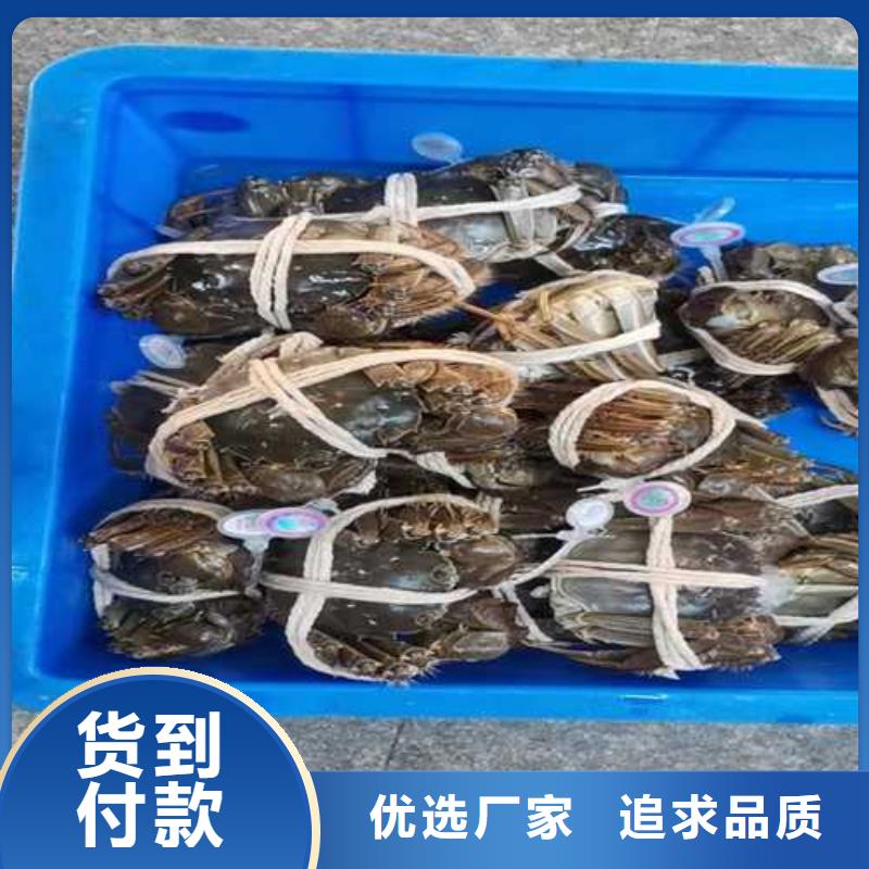 顾记【 大闸蟹 阳澄湖农家乐满足您多种采购需求】-二八商务