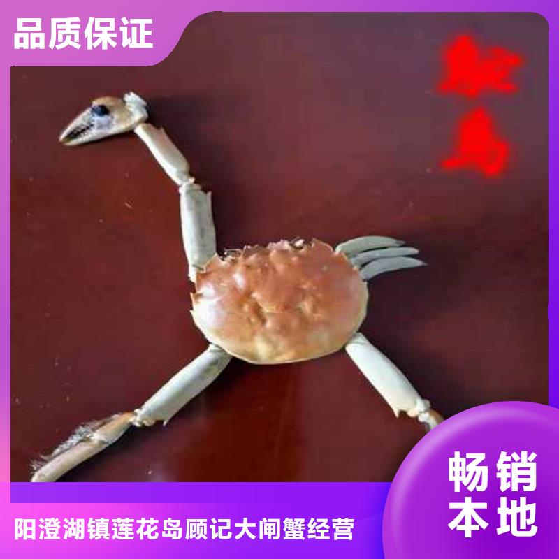 去阳澄湖蟹哪里正宗在苏州阳澄湖