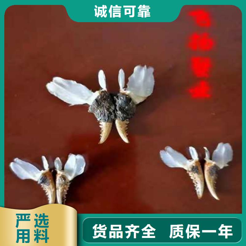 螃蟹材质
