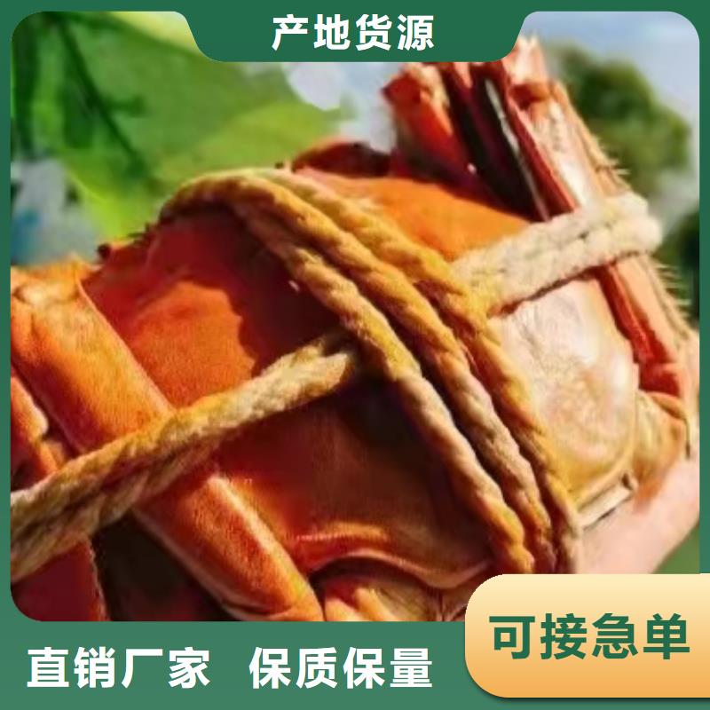 阳澄湖农家乐哪家好吃