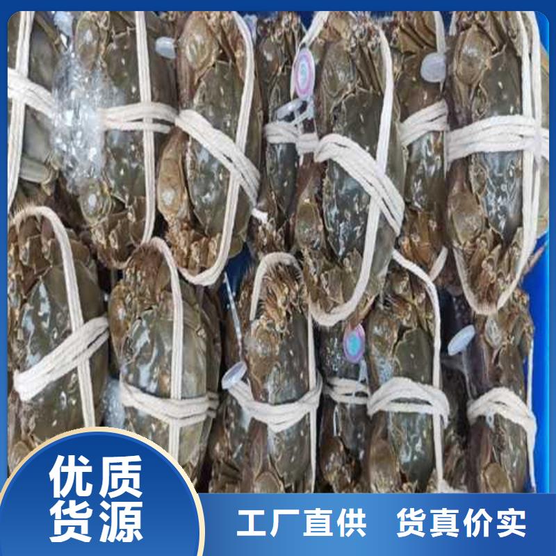 大闸蟹【阳澄湖大闸蟹】高品质现货销售顾记阳澄湖大闸蟹