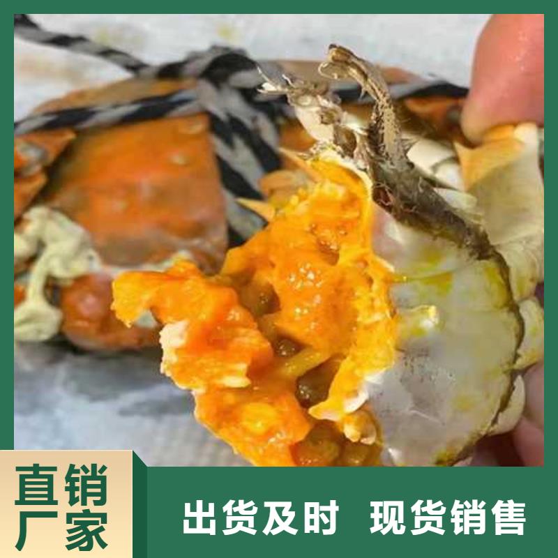 去阳澄湖大闸蟹哪里好好吃在苏州莲花岛