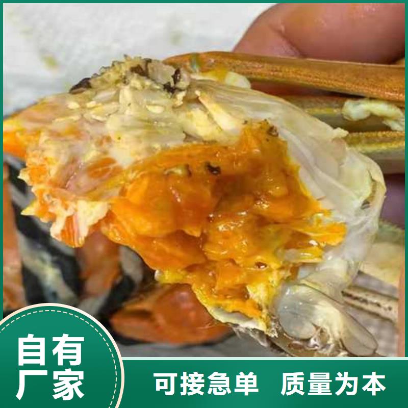 去阳澄湖大闸蟹哪里好好吃在苏州莲花岛