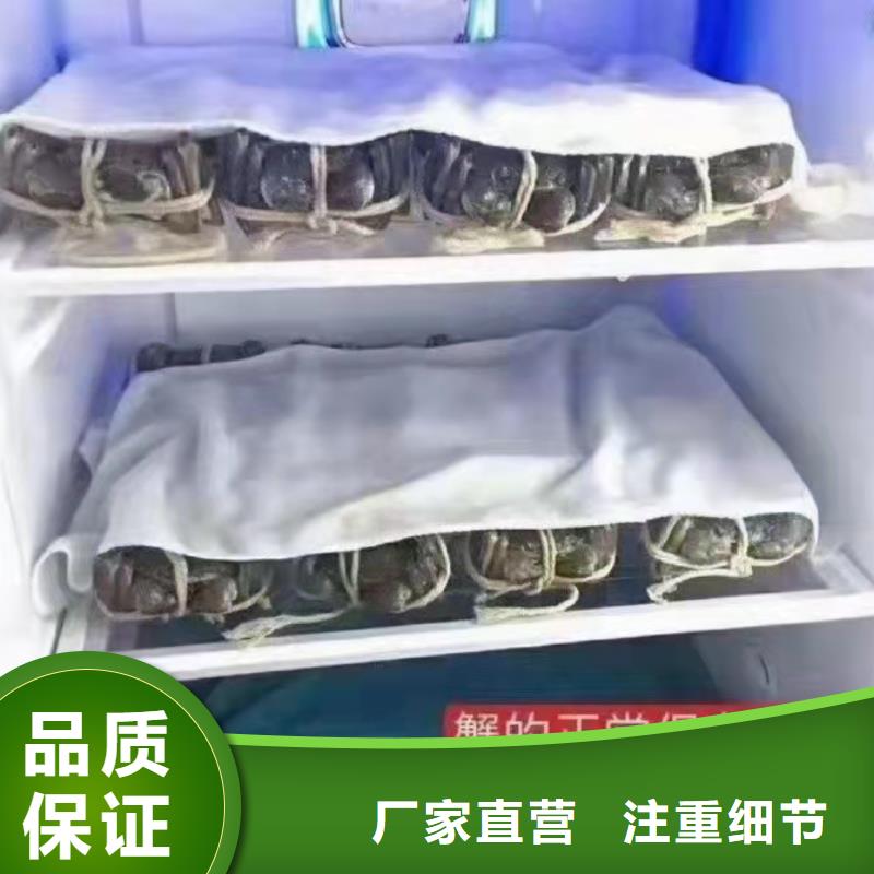 有现货的超大闸蟹生产厂家