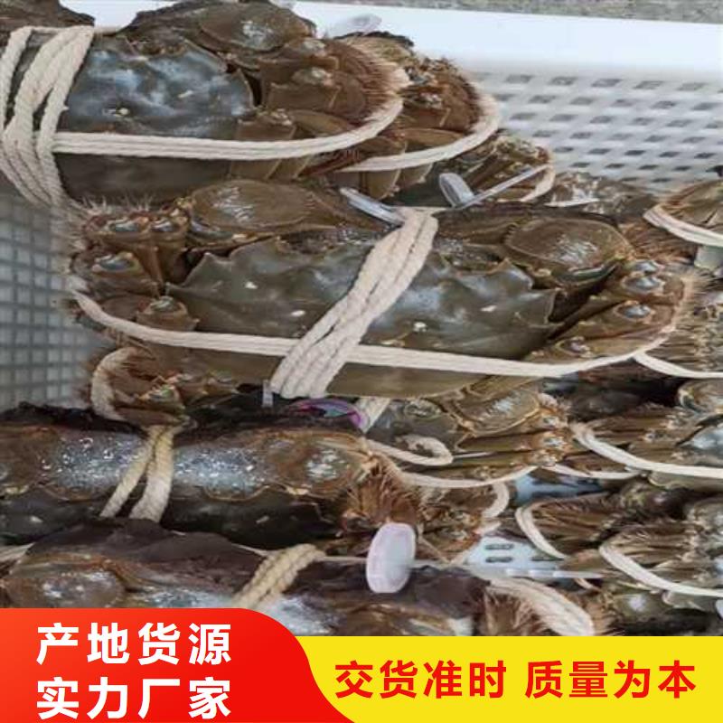 顾记阳澄湖大闸蟹大闸蟹【阳澄湖大闸蟹订购】好品质选我们