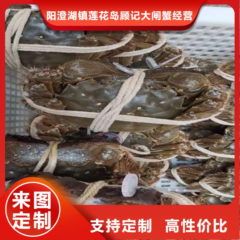 偃师|栾川|开封|焦作|郑州|安阳|商丘|鹤壁|平顶山大闸蟹_【阳澄湖大闸蟹订购】量大更优惠公司