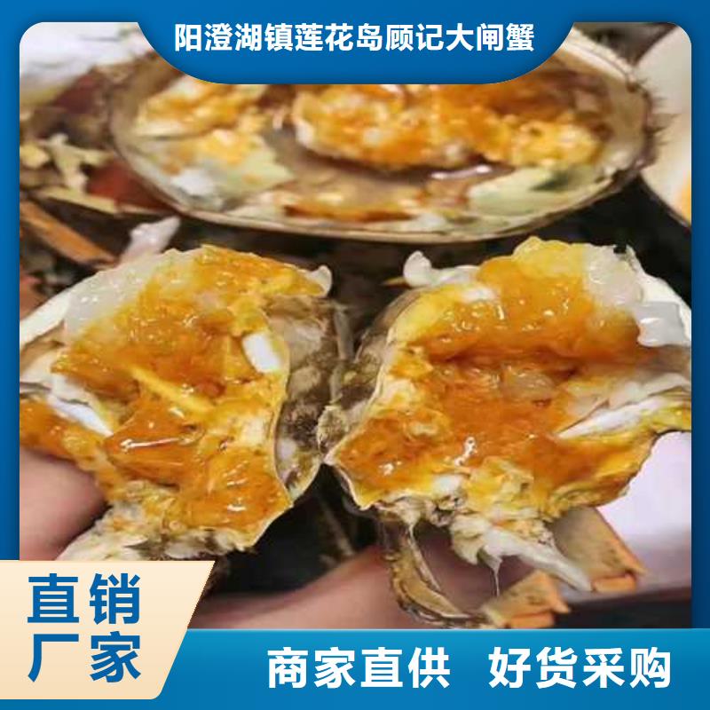去正宗阳澄湖大闸蟹哪里好在苏州阳澄湖