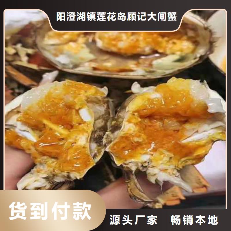 打螃蟹品牌厂家