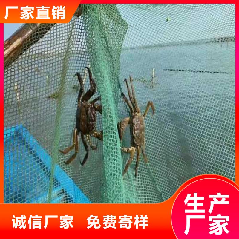 去阳澄湖大闸蟹哪家好在苏州莲花岛
