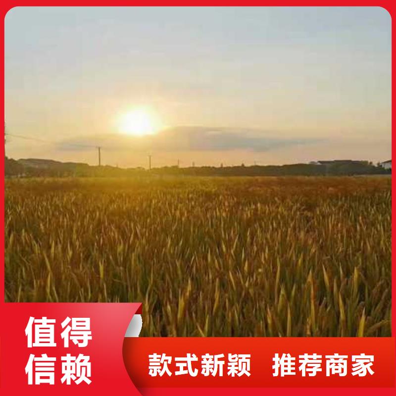 大闸蟹大品牌有保证