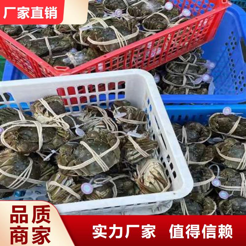优质大闸蟹的生产厂家
