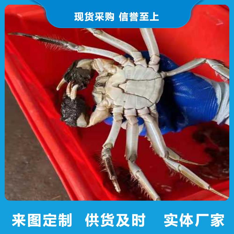 阳澄湖大闸蟹哪家好吃苏州莲花岛顾记蟹庄