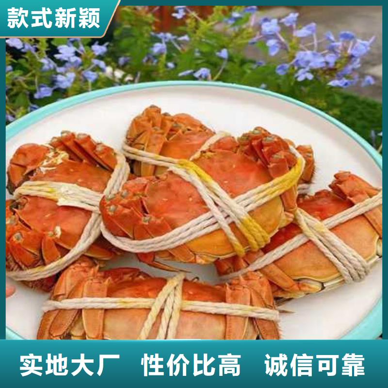 阳澄湖买大闸蟹这里好苏州这里好