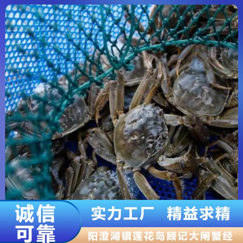 螃蟹价格2025
